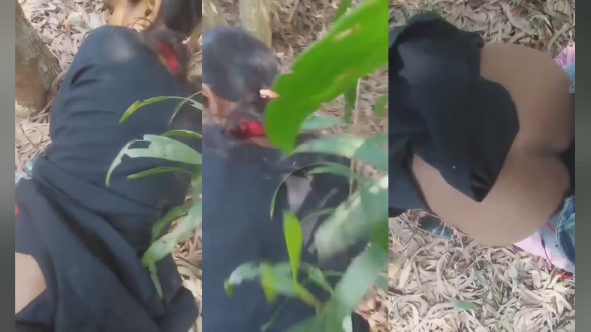 BF Ne GF Ko Jungle Leja Ke Banaya Ghodi Or Muh Me Lund Diya