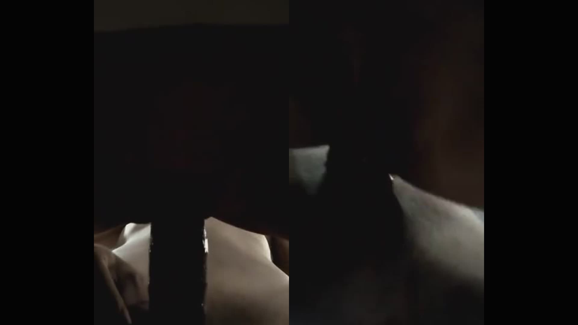 Hotel Room Mein Nangi Ghodi Ki Zabardast Chudai Ka Manzar